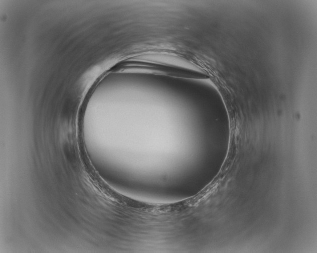 X0000062170148200512091439