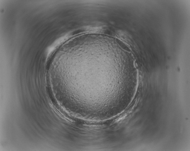 X0000062170149200512091439