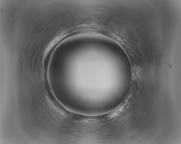 X0000062170150200512091439