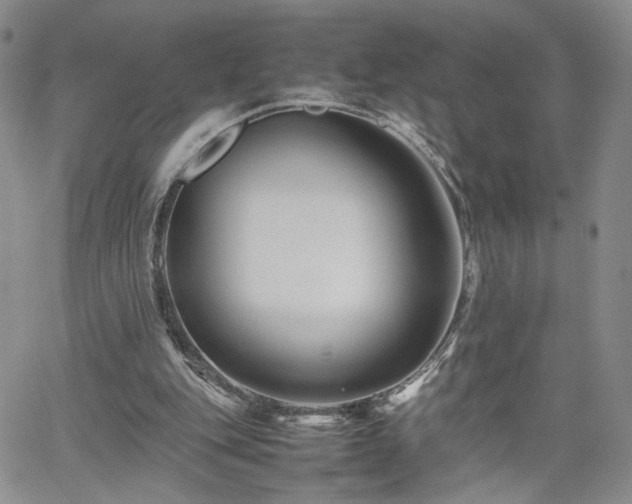 X0000062170151200512091439