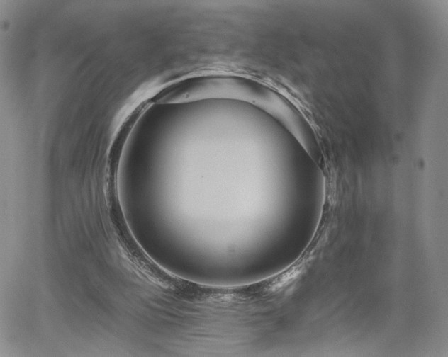 X0000062170152200512091439