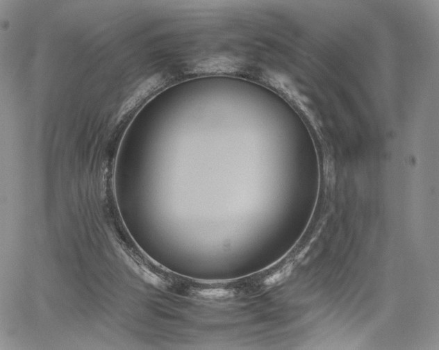 X0000062170153200512091439