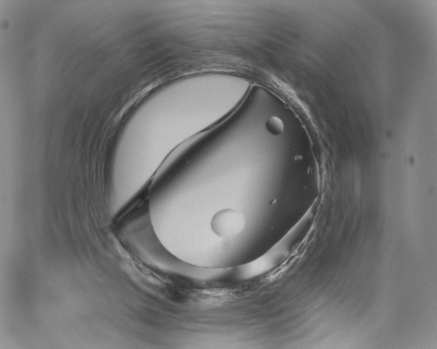 X0000062170154200512091439