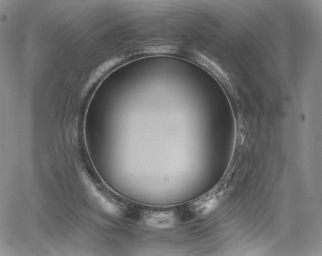 X0000062170155200512091439