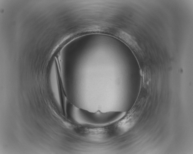 X0000062170156200512091439