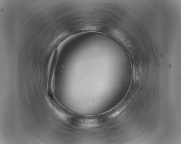 X0000062170157200512091439