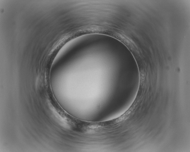 X0000062170158200512091439