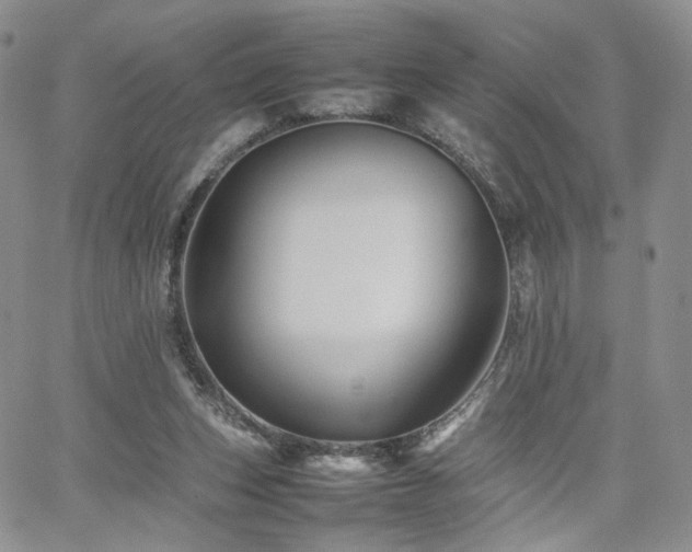 X0000062170159200512091439