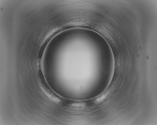 X0000062170160200512091439