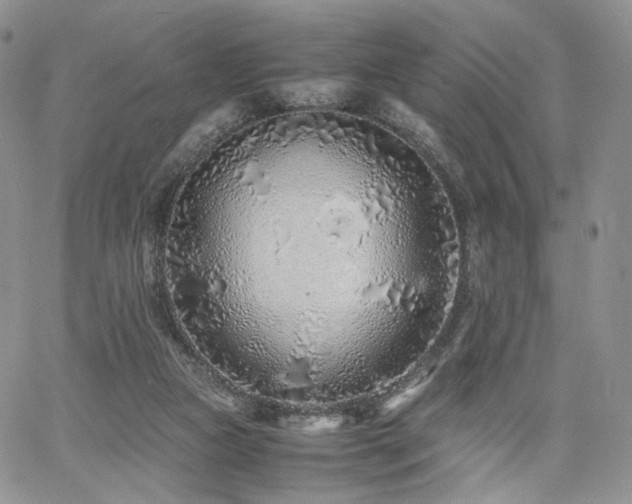 X0000062170161200512091439