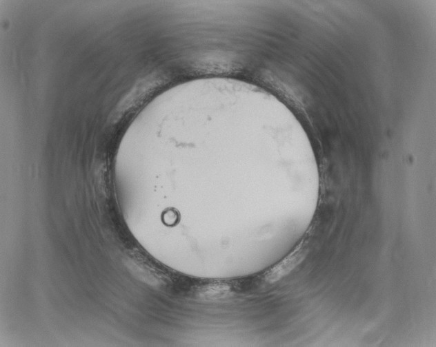 X0000062170162200512091439