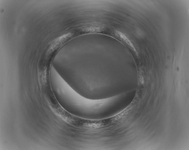 X0000062170163200512091439