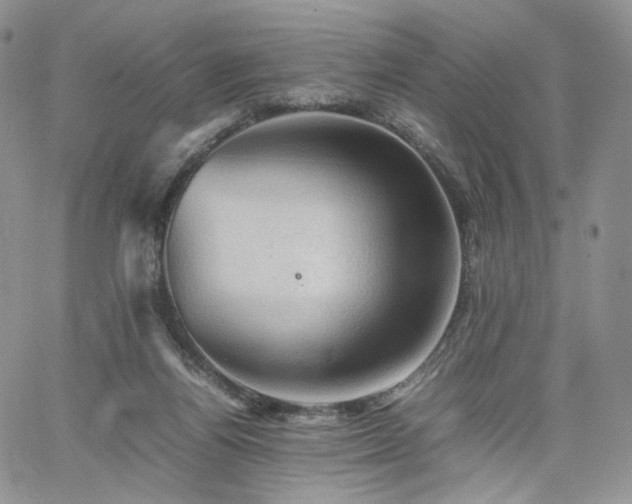 X0000062170164200512091439