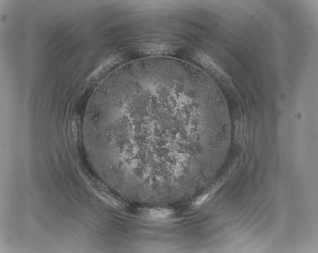 X0000062170165200512091439