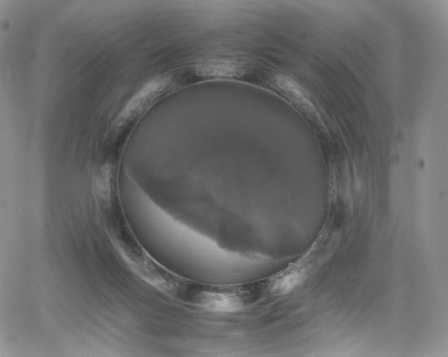 X0000062170167200512091439