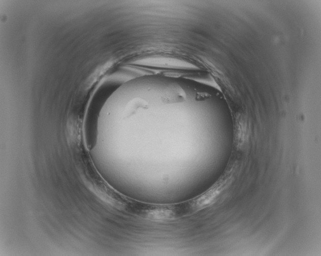 X0000062170168200512091439