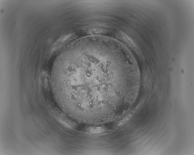 X0000062170169200512091439