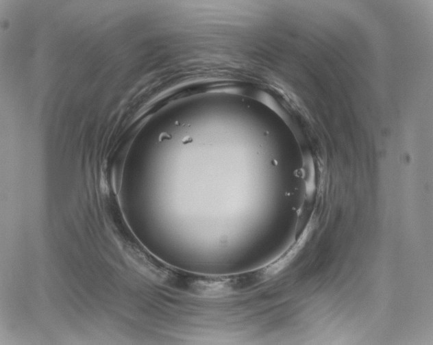 X0000062170170200512091439