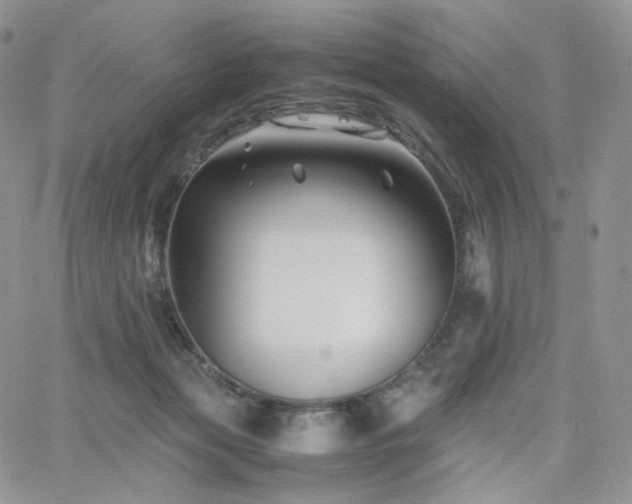 X0000062170173200512091439