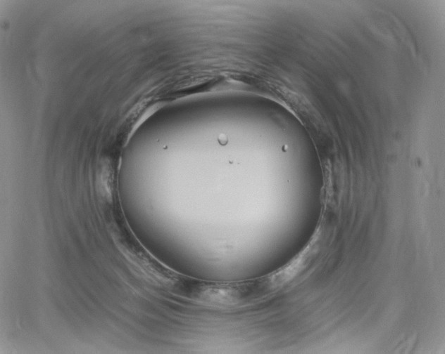 X0000062170174200512091439