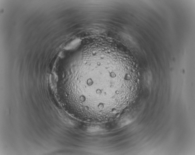 X0000062170177200512091439