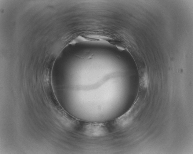 X0000062170179200512091439