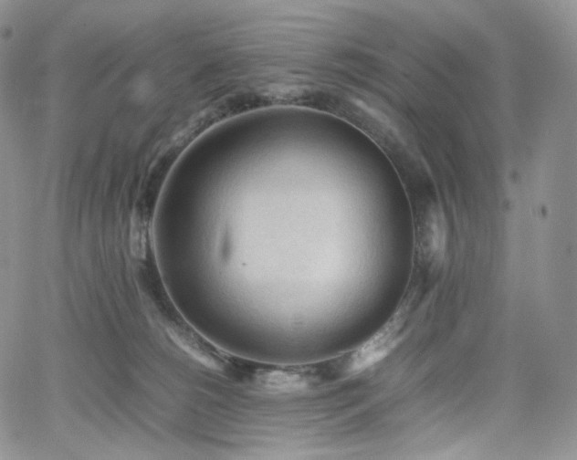 X0000062170180200512091439