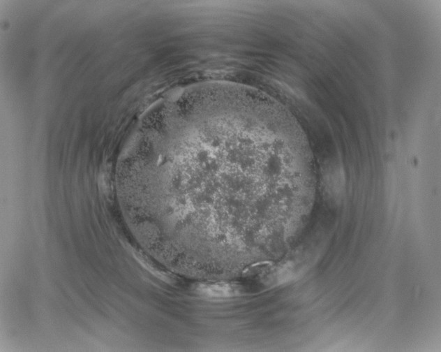 X0000062170181200512091439