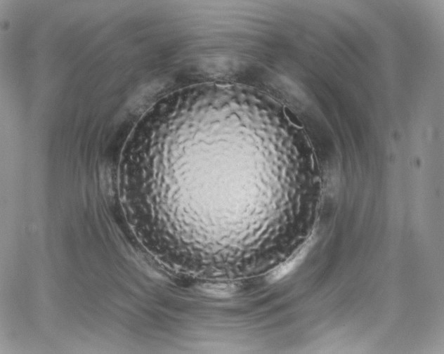 X0000062170182200512091439