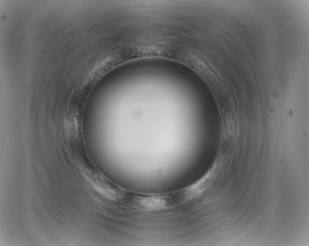 X0000062170183200512091439