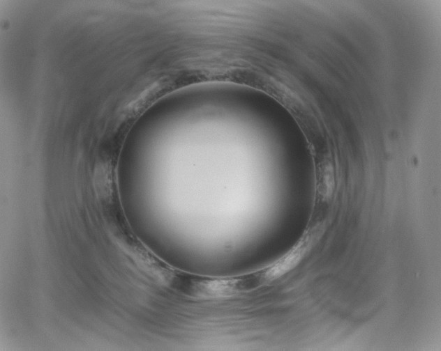 X0000062170184200512091439