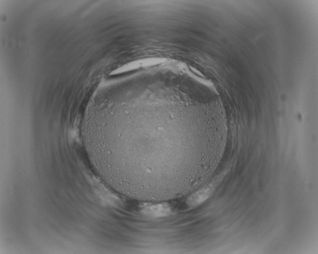 X0000062170185200512091439