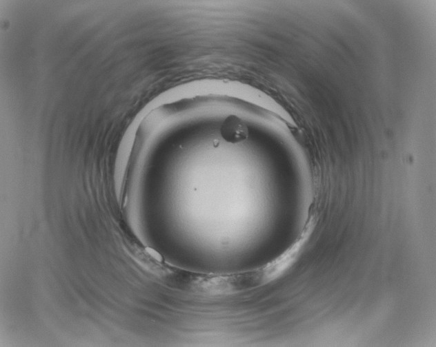 X0000062170186200512091439