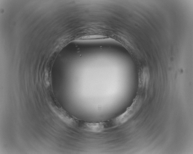 X0000062170187200512091439