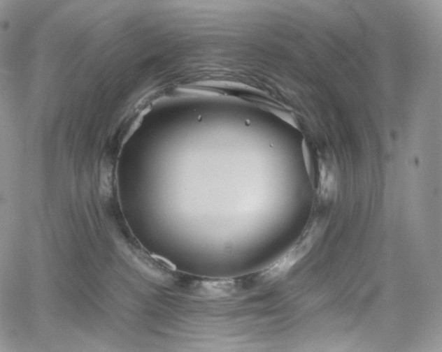 X0000062170188200512091439