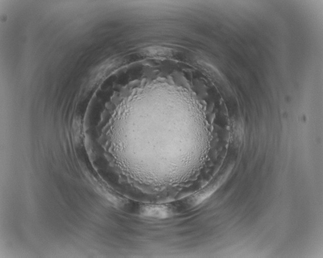 X0000062170189200512091439