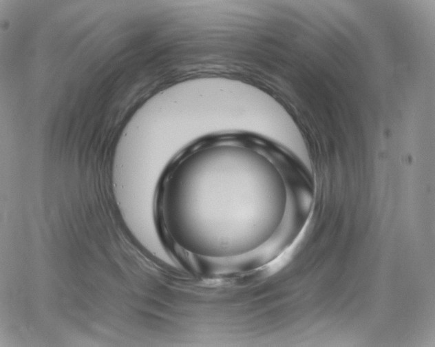 X0000062170190200512091440