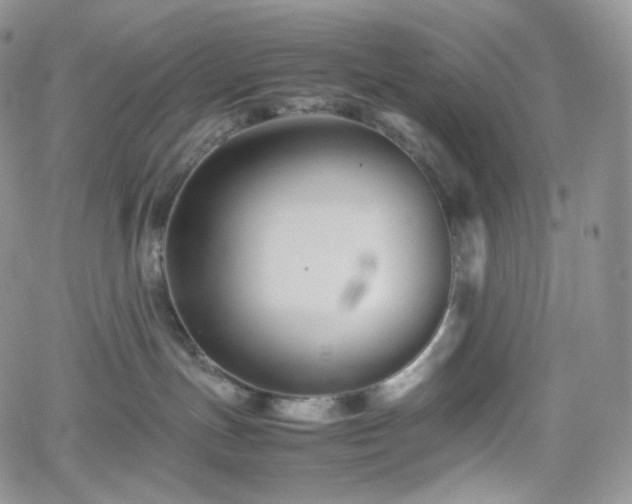 X0000062170191200512091440