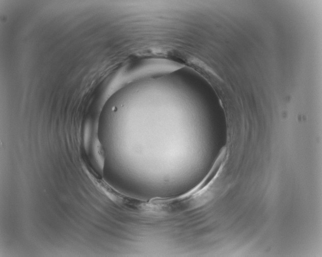 X0000062170192200512091440