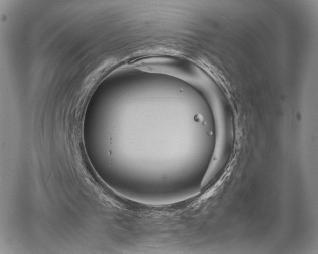 X0000062170193200512091439