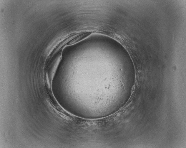 X0000062170194200512091439