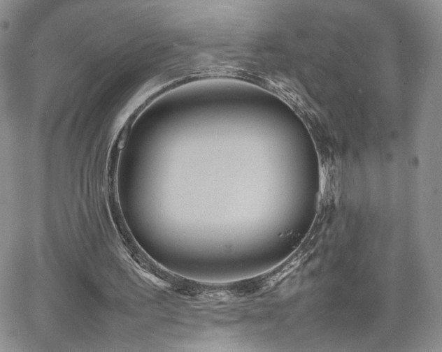 X0000062170195200512091439