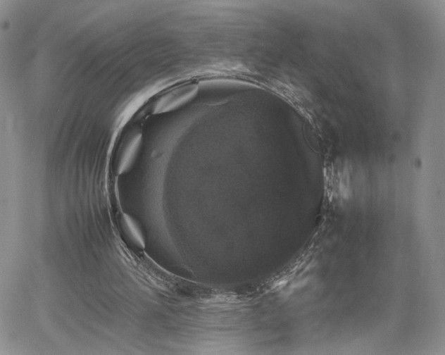 X0000062170196200512091439