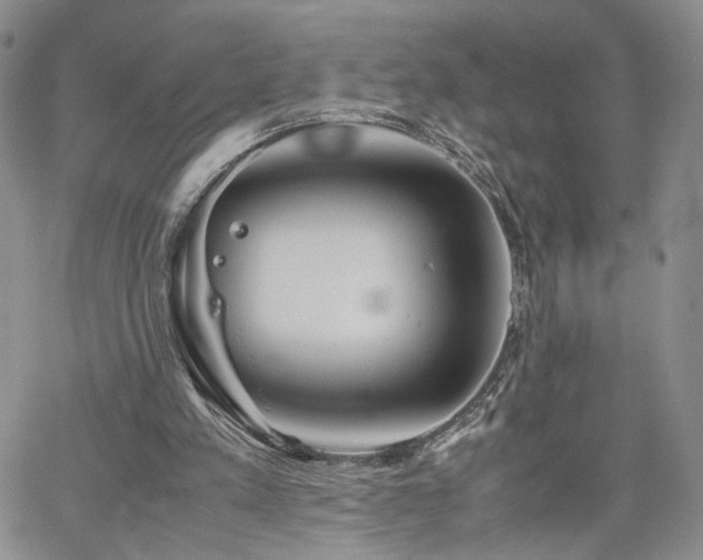 X0000062170197200512091439