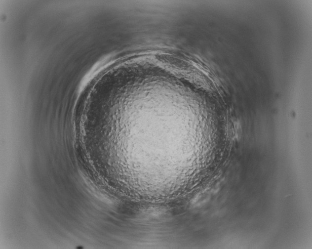 X0000062170198200512091439