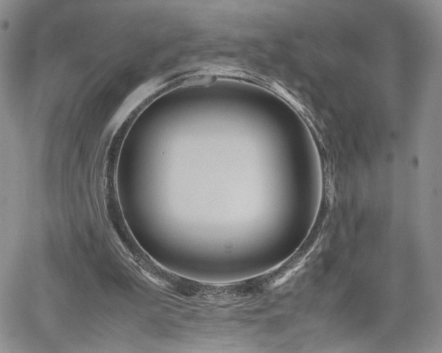 X0000062170199200512091439