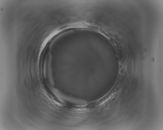 X0000062170200200512091439