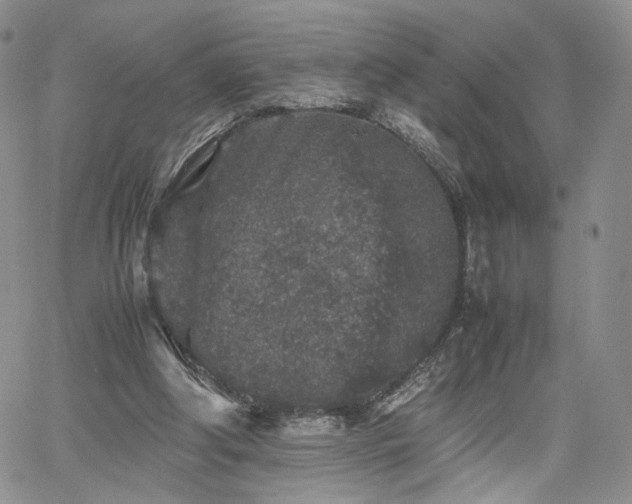 X0000062170202200512091439