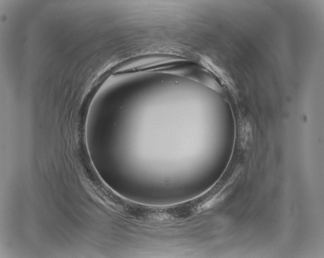 X0000062170203200512091439