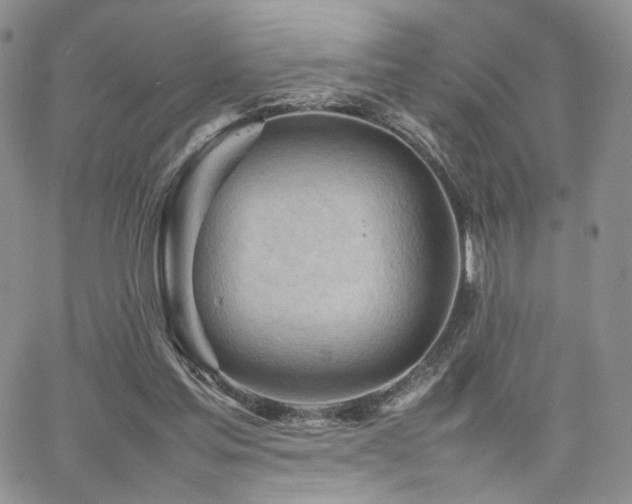 X0000062170205200512091439